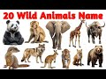 20 Pet animals name, animals name for nursery class, animals namे, wild animal name with picture