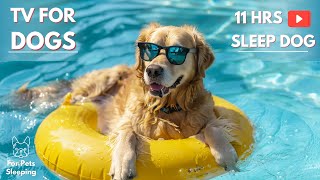 DOG TV: The Best Video Entertainment to Relax Dog When Home Alone, Music Collection for Sleep Dog