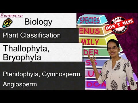 Video: Thallophyta Ja Pteridophyta Erinevus