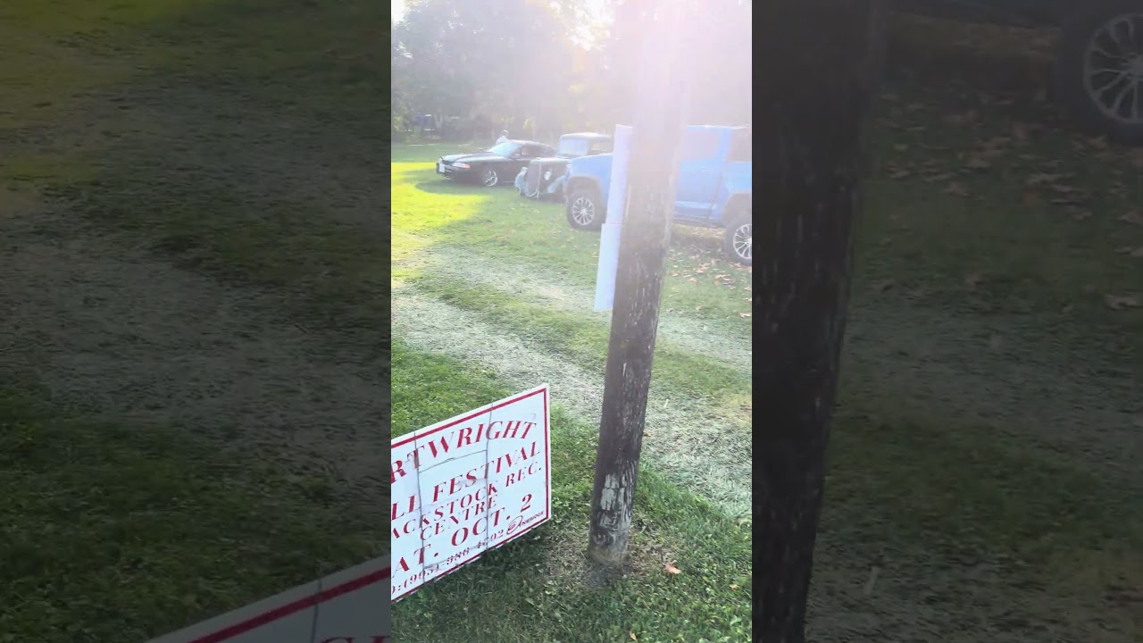 Classic car show 🚘 