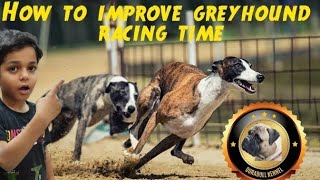 How to improve Greyhound racing time । ग्रे हाउंड डॉग की रेस कैसे बेहतर करे। होमियोपैथी Homeopathy by Durabull kennel 54 views 4 weeks ago 5 minutes, 46 seconds