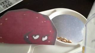 Aqua Teen Adventures Master Shakes Gles