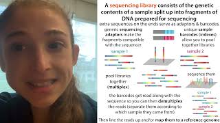 Multiplexing and molecular barcodes (indexes) in NGS (Next Gen Sequencing)