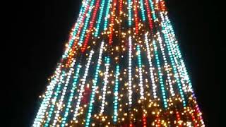 Christmas Tree at Bayfront Park, Miami...
