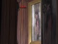 El ALMA del PURGATORIO que VIVE en una IGLESIA de ROMA #shorts