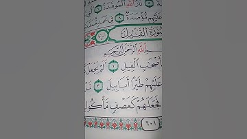 ما معنى "فجعلهم كعصف مأكول"#سورة #الفيل