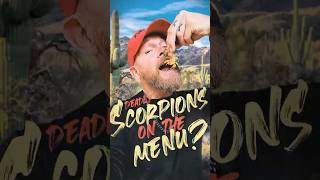 We Caught, Cooked and Ate Arizona’s Deadliest Scorpions  #CatchAndCook Would You Try This?