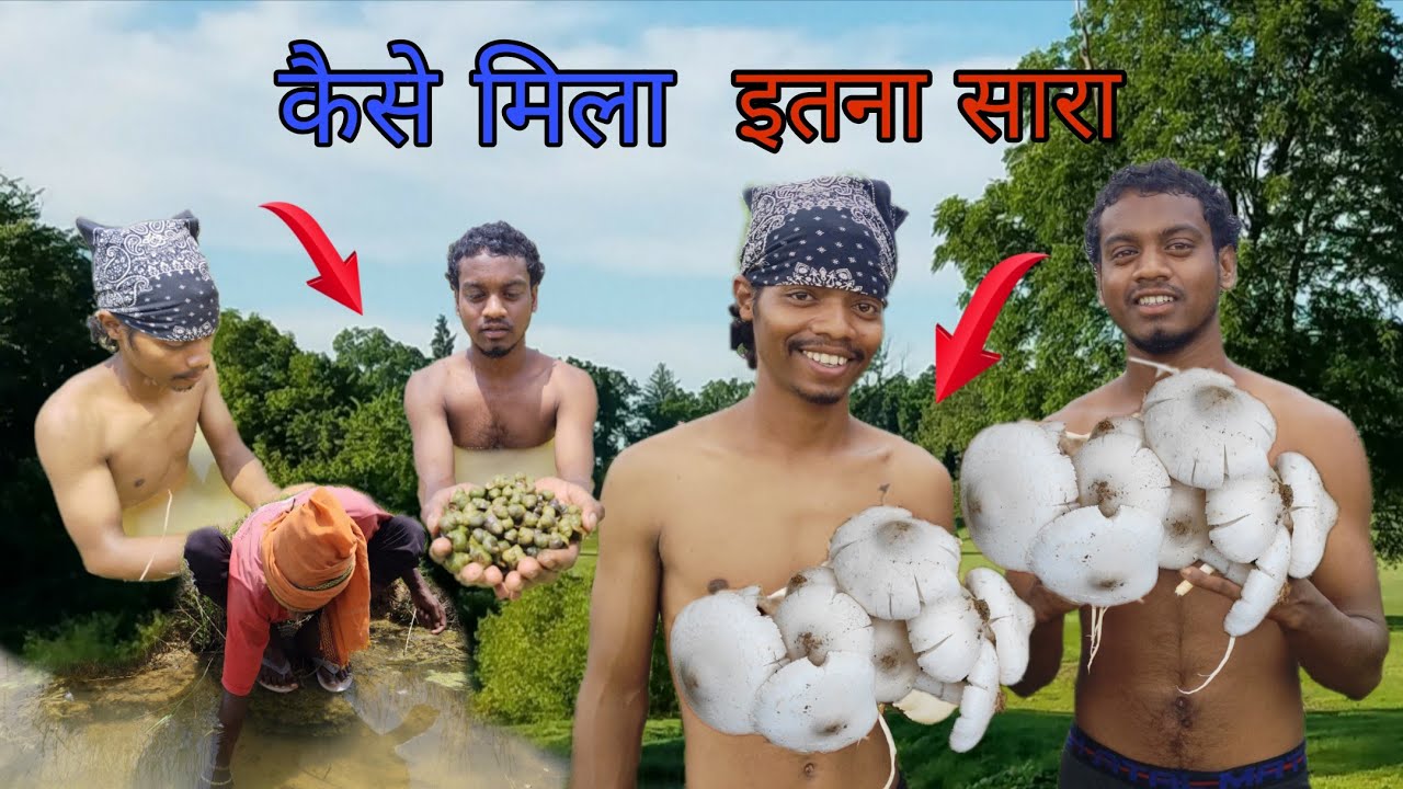 बहुत जादा घोंघा और मशरूम मिला 😀 KYSE MILA Etna Sara 🤔 