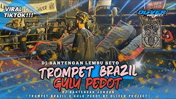 DJ BANTENGAN JOWOAN‼️ - TROMPET BRAZIL X GULU PEDOT🔥 - LEMBU SETO BY OLIVER PROJECT