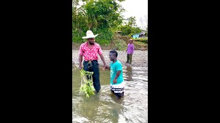 Download Lagu Le salió caro prenderle la casa a el vecino MP3