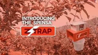 Introducing the Spensa Z-Trap
