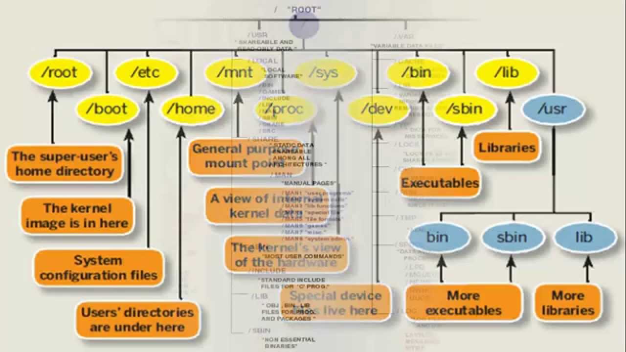 Linux операционная система файл. Структура файловой системы Linux. Структура корневого каталога Linux. Файловая система Linux структура каталогов файловой системы. Структура каталогов ОС Linux.
