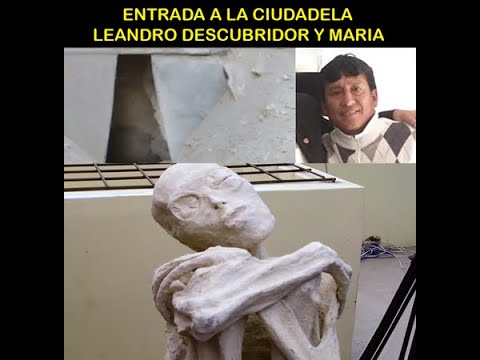 Vídeo: Un Terrible Misterio De Coleccionistas Privados: Se Ha Descubierto La Momia Más Aterradora Del Perú - Vista Alternativa