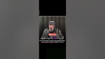 ماموستا رمضان شكور رحمه الله|| تلاوات رعد محمد الكردي || حالات واتس اب قرآن كريم..