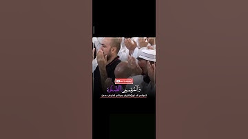 ماموستا رمضان شكور رحمه الله|| تلاوات رعد محمد الكردي || حالات واتس اب قرآن كريم..