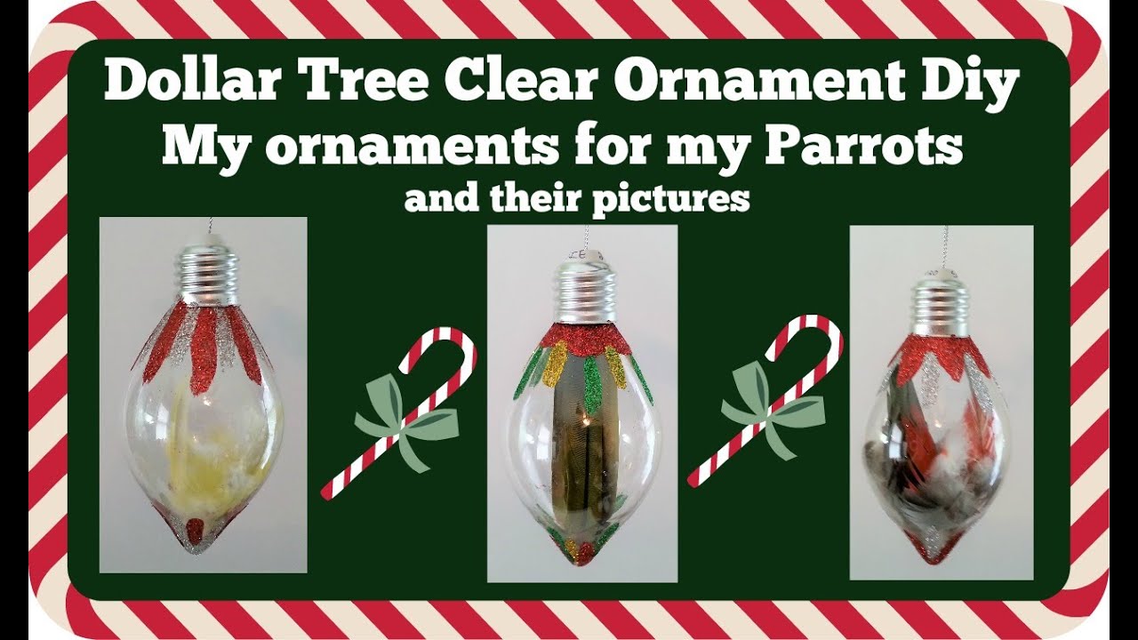 Dollar Tree Clear Ornaments Diy Made for my parrots YouTube