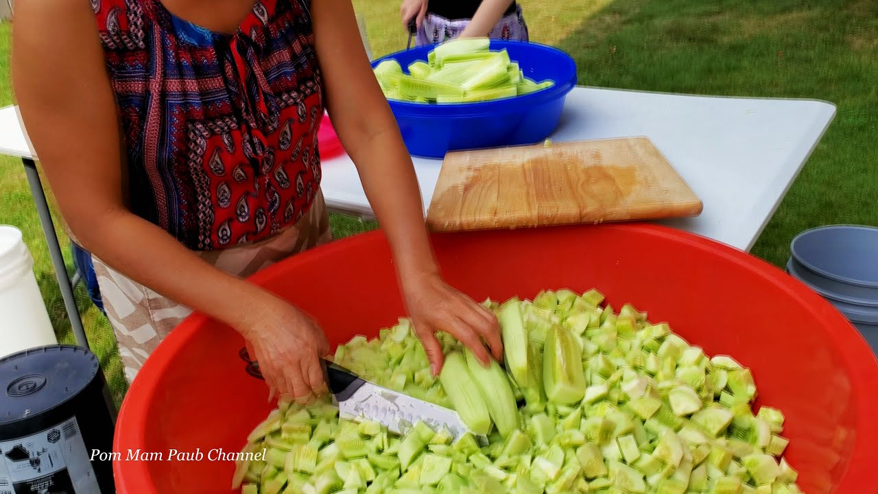Hmoob de dib zom kua haus / How to made Cucumber juice