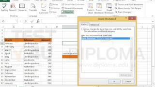Make sure the personal view of the shared workbook does not include the print and filter...