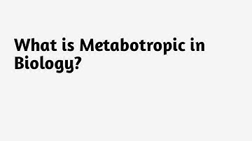 What is Metabotropic in Biology ?