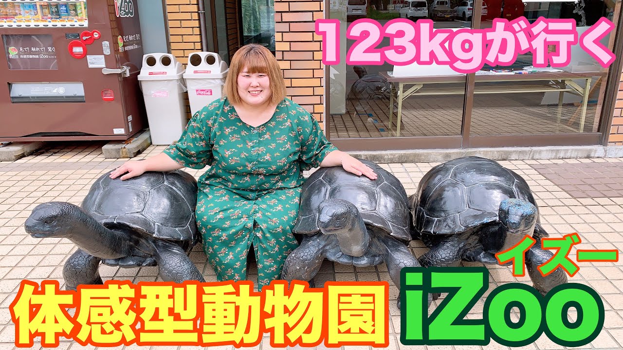 【伊豆旅行】123kg女子が体感型動物園 iZoo(イズー)に行ってみた【爬虫類】