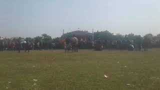 Yatim Piatu All Artis New Pallapa Live RESPEK