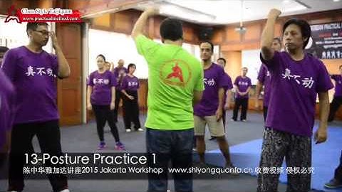 Chen Taiji Application (Trailer)