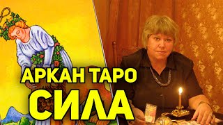 Аркан Таро "Сила". Символизм и значение. Онлайн-курс "Символизм в Старших Арканах Таро"