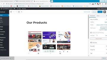 How to Convert WordPress Post into Page or Page into Post?
