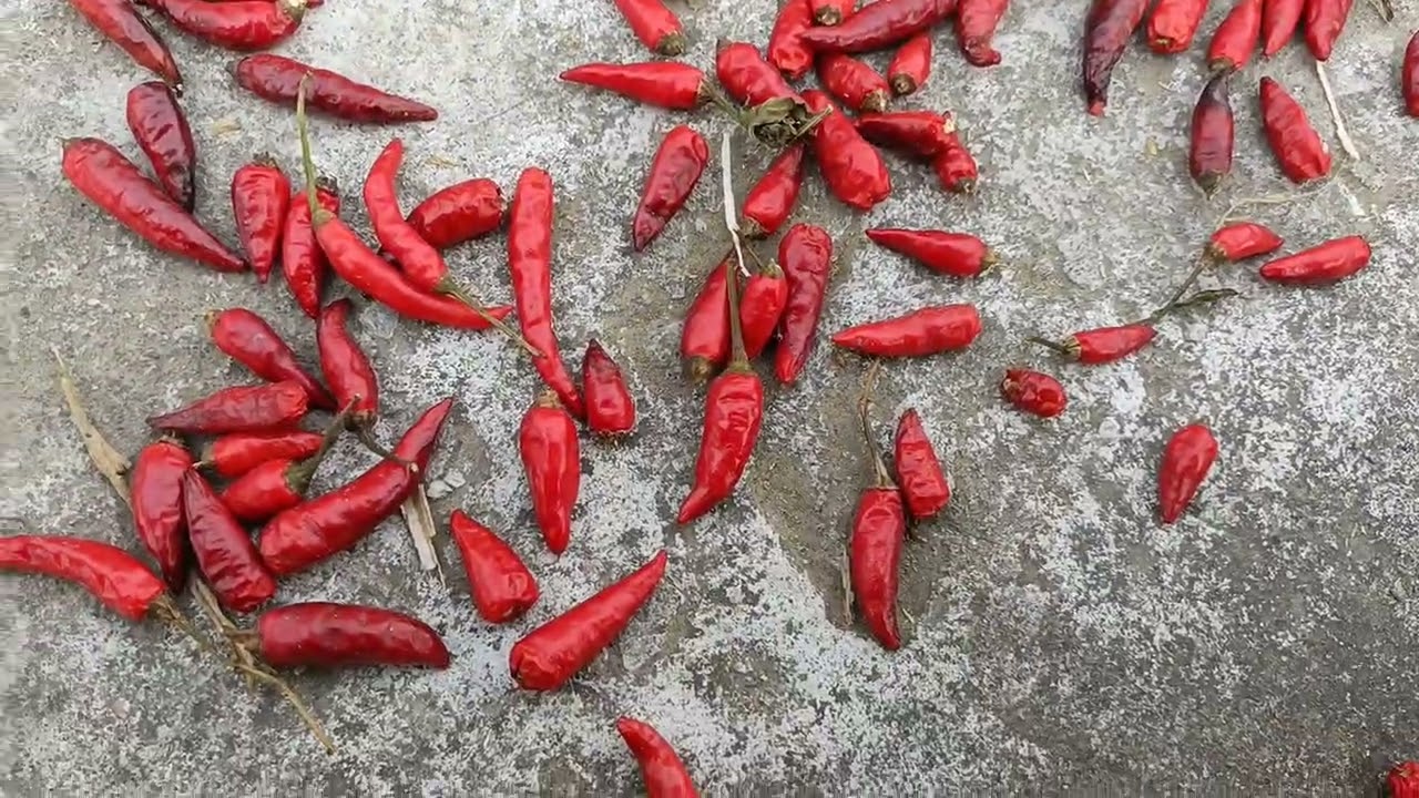 Kitna hai yah sab 🥹🥰#video