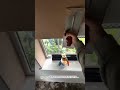 Smooth Wall Plastering With a Finishing Trowel! #Plastering #DrywallTools #Construction