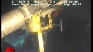 Bp Exec On Oil Stop Celebration Wrong Word