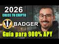 ¿Dejé mi trabajo? No, pero 30K € de staking token BADGER me dio la opción en 2026