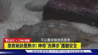 CNN TVBS