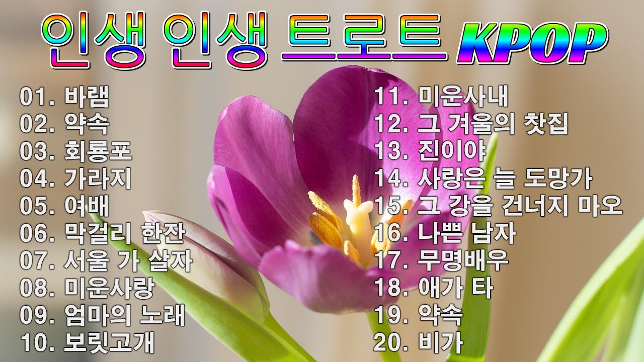 인생 트로트 모음 | 트로트 신곡 메들리 (TROT) PLAYLIST 🗃️ ( 꽃길.상사화.여인의 눈물.회룡포.바람길...) #kpop