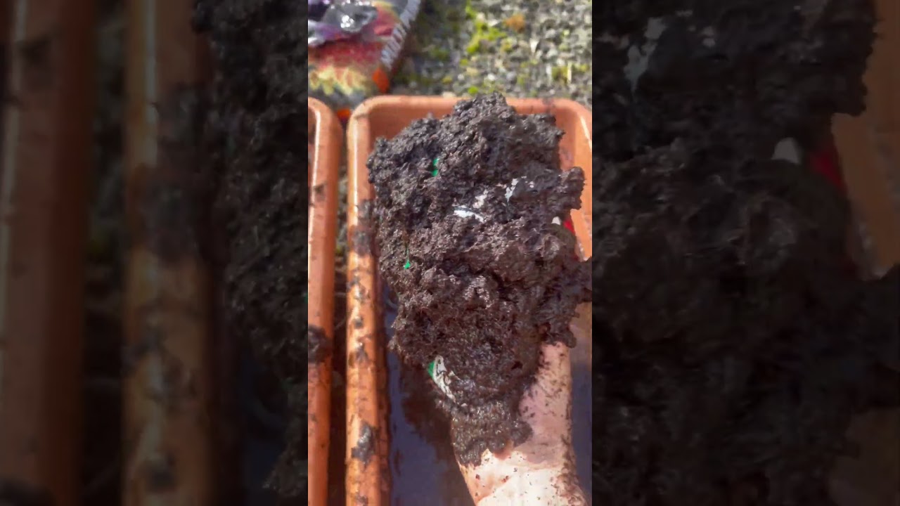 What is in the MUD? ASMR 