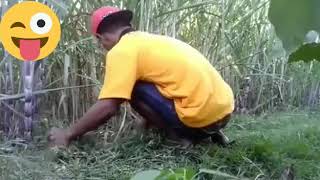 Pitutur kanggo wong wadon