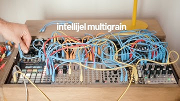 Intellijel Multigrain - first performance