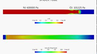 Full Transient Shock Tube Simulation Update