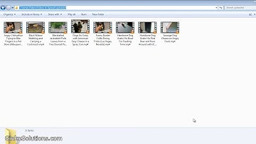 YouTube Bulk Uploader for the Lazy - File Path Sync - GinkoSolutions.com