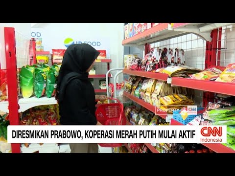 Diresmikan Prabowo, Koperasi Merah Putih Mulai Aktif