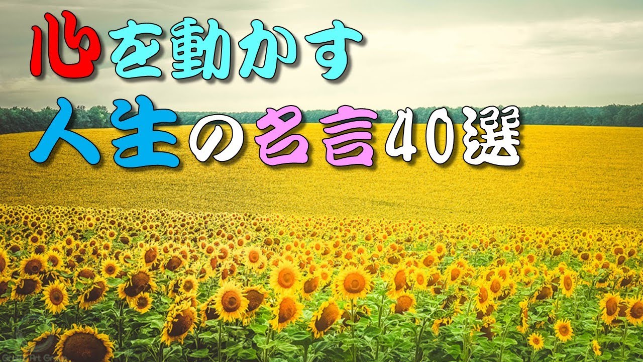 【名言】 心を動かす人生の名言40選 ＃人生訓,＃生き方,＃考え方,＃名言,＃心,＃魂,＃幸せ,＃幸福,＃メンタル,＃精神,＃命 ...