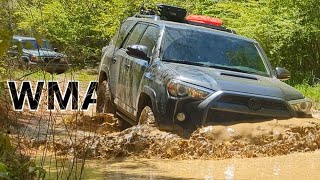 Offroading Public Land: Exploring Alabama WMA