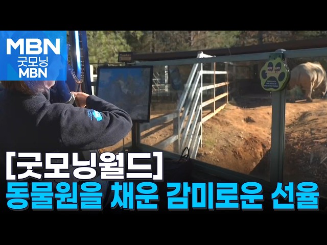 [굿모닝월드] 들을 수 있고, 느낄 수 있어요. [굿모닝 MBN]