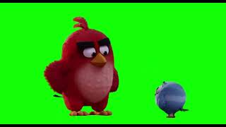 Angry Birds Football Kick - Green Screen