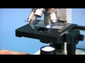OMAX 40X-2000X Biological Compound Microscope with Mechanical Stage and LED Light