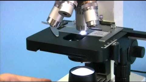 OMAX 40X-2000X Biological Compound Microscope with Mechanical Stage and LED Light