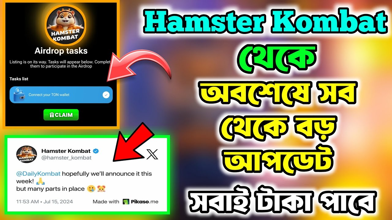Curated visual reference: Hamster Kombat থ ক সব ই Taka প ব Hamster Photo Inspiration