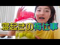 【自家製シリーズ】寝起きから梅仕事に没頭する初夏の朝