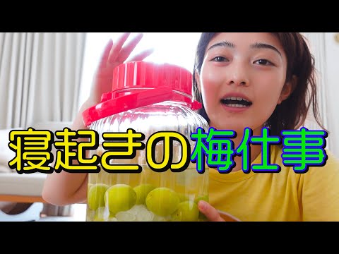 【自家製シリーズ】寝起きから梅仕事に没頭する初夏の朝