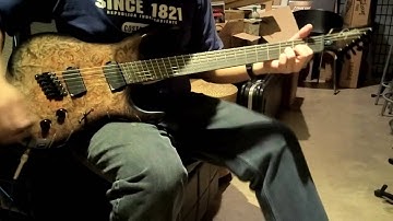 Legator Fan Fret 6 RAW Testing